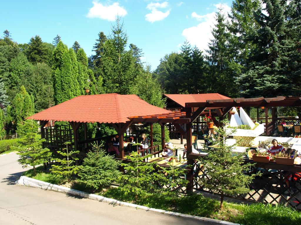 Bucegi Portile Regatului 2* Pârâul Rece